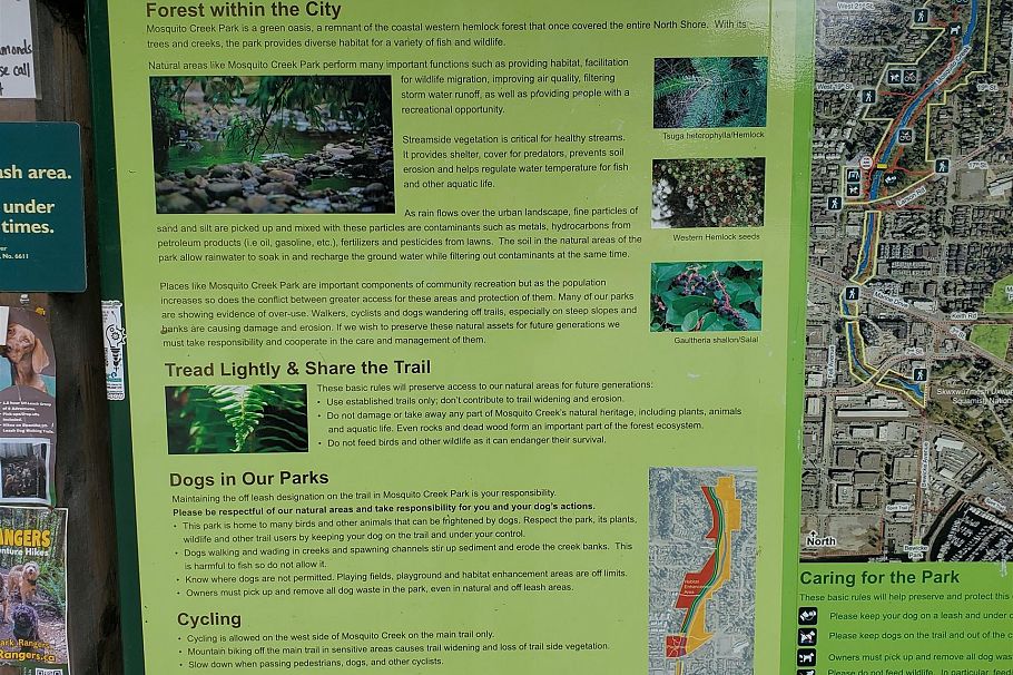 302 827 W 16 Street North Vancouver, BC - 29