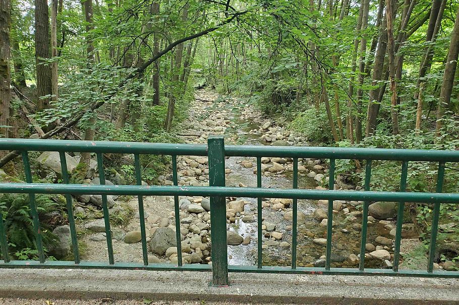 302 827 W 16 Street North Vancouver, BC - 27