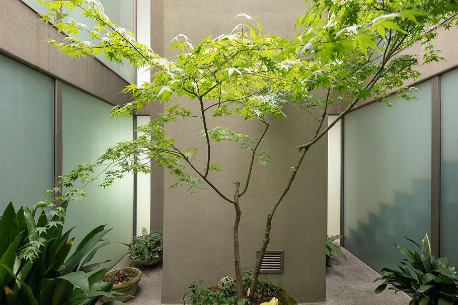 2724 Panorama Drive North Vancouver, BC - 7