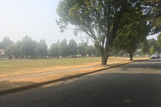 5336 Rhodes Street Vancouver, BC - 4