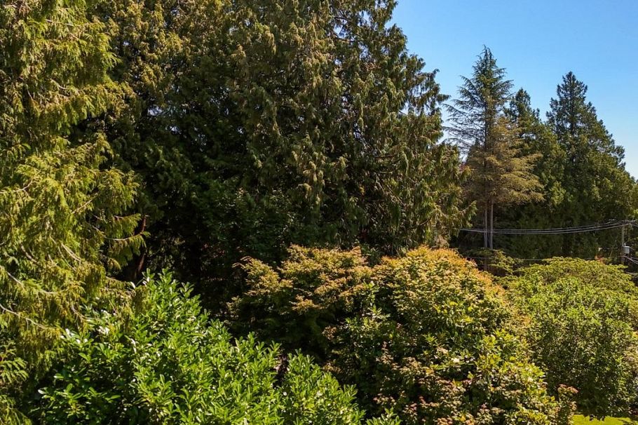 3060 W 45th Avenue Vancouver, BC - 8