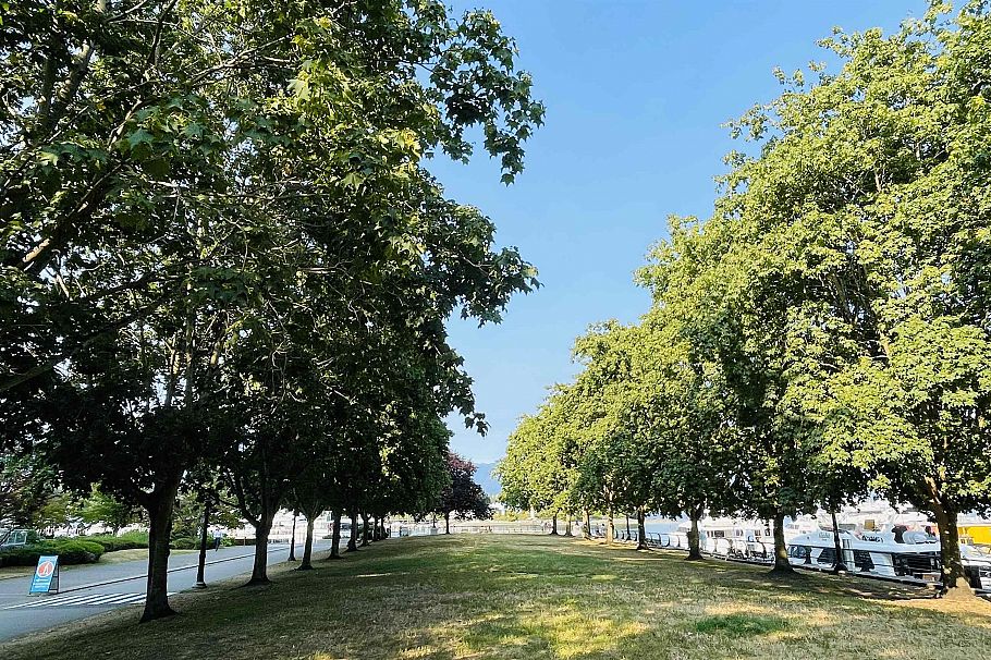 1604 620 Cardero Street Vancouver, BC - 21