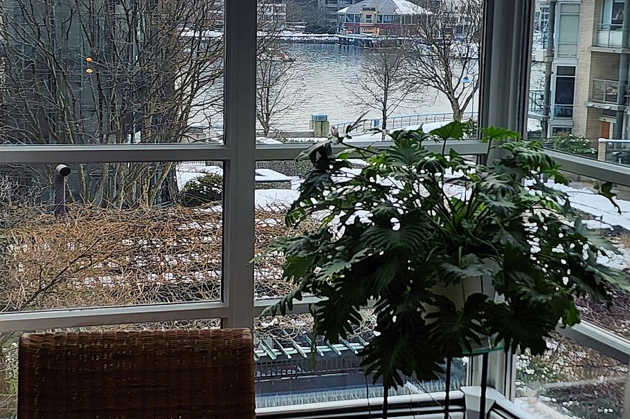 302 1228 Marinaside Crescent Vancouver, BC - 5