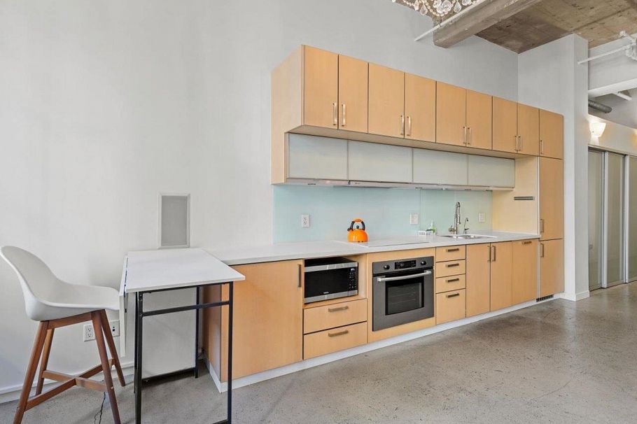 201 546 Beatty Street Vancouver, BC - 4