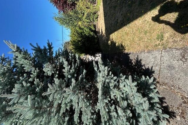 7592 Fraser Street Vancouver, BC - 14