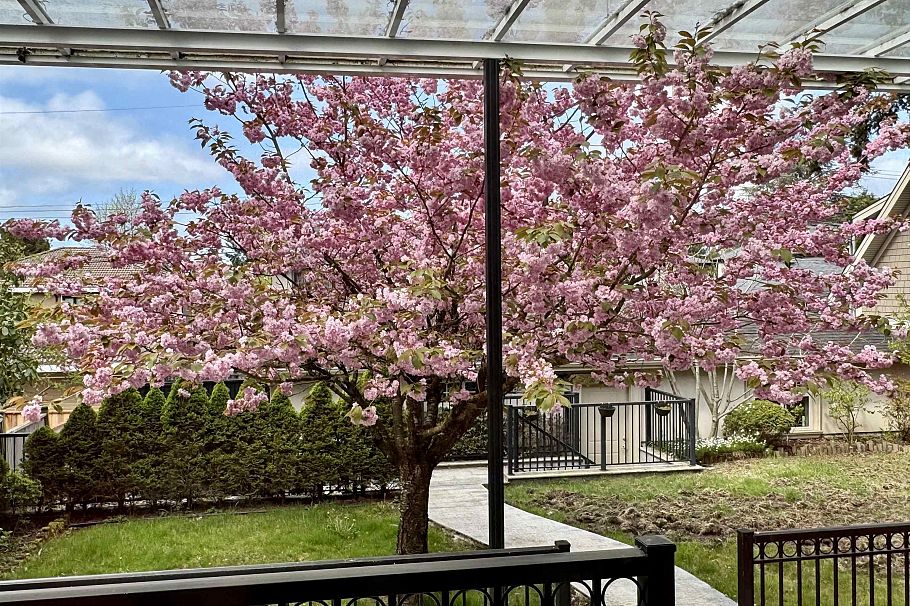 7165 Maple Street Vancouver, BC - 37