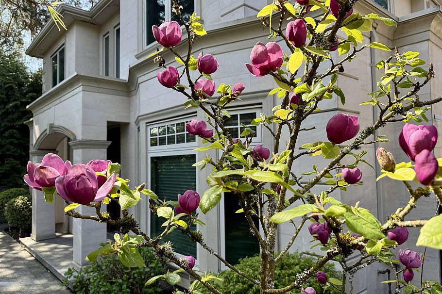 7165 Maple Street Vancouver, BC - 36