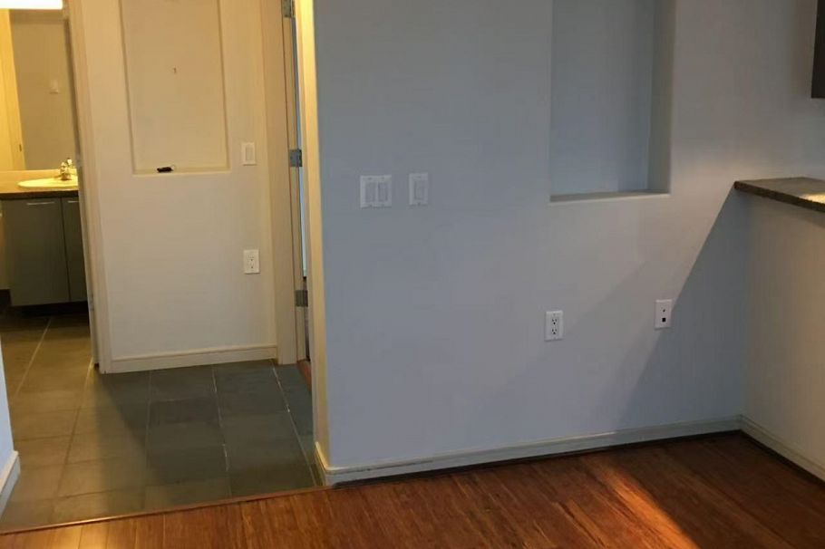 1505 1068 Hornby Street Vancouver, BC - 3