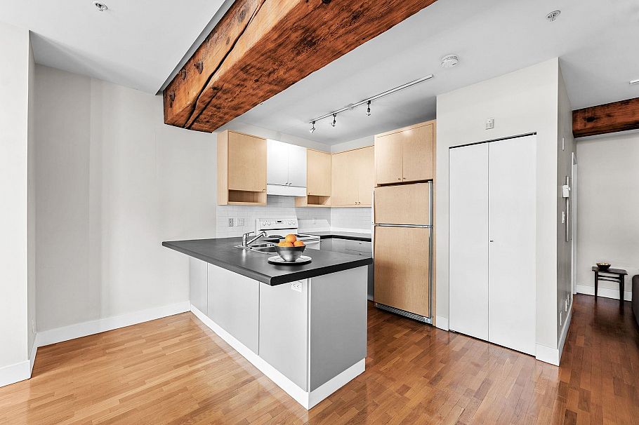 201 869 Beatty Street Vancouver, BC - 4