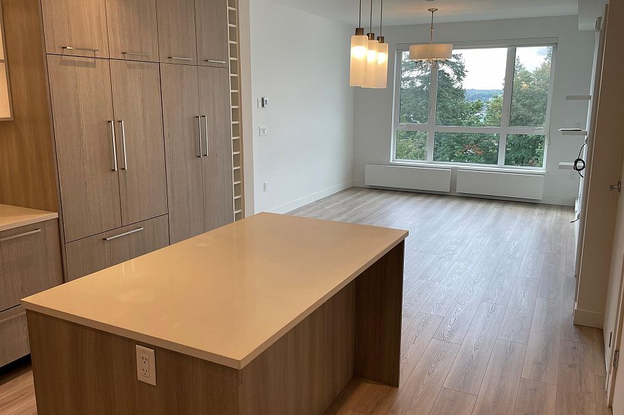 308 707 E 3rd Street North Vancouver, BC - 8