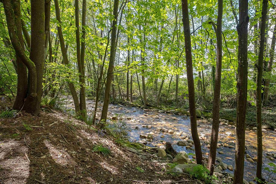 115 735 W 15th Street North Vancouver, BC - 33