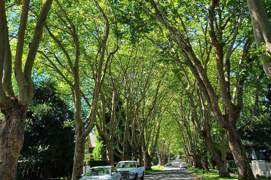 2209 W 36th Avenue Vancouver, BC - 15