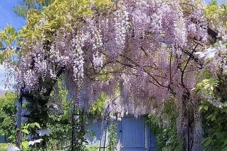 4291 W 9th Avenue Vancouver, BC - 36