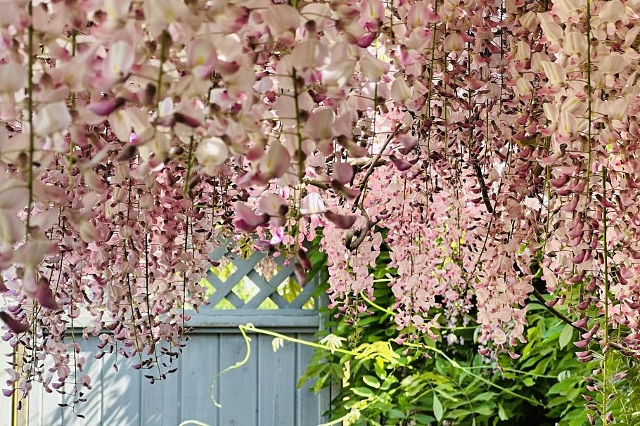 4291 W 9th Avenue Vancouver, BC - 35