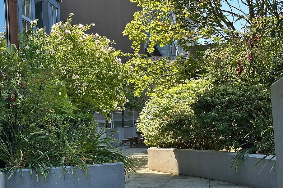 217 933 Seymour Street Vancouver, BC - 12