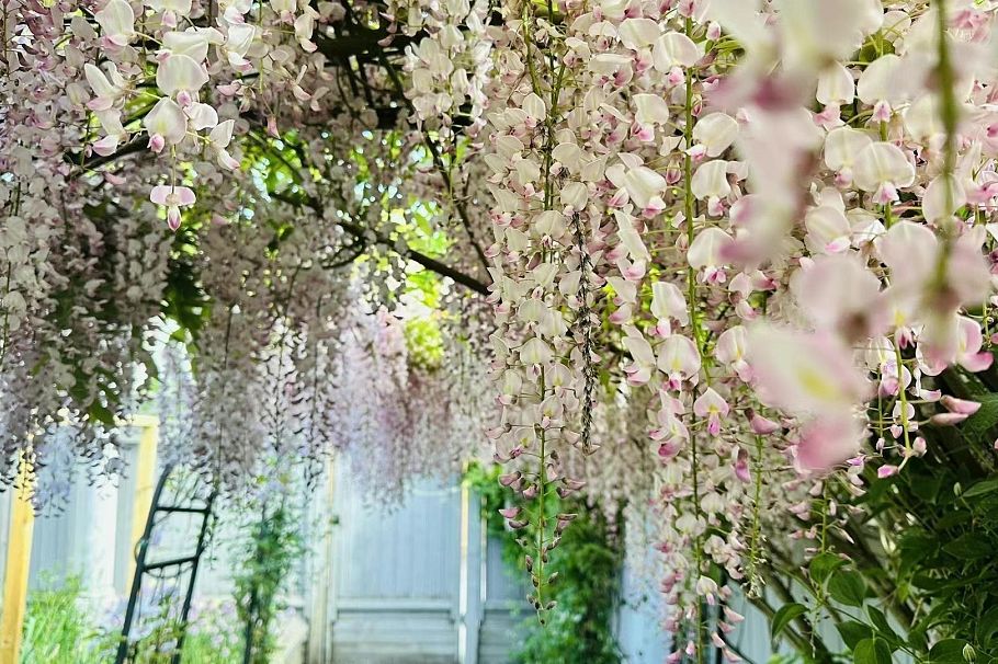 4291 W 9th Avenue Vancouver, BC - 37