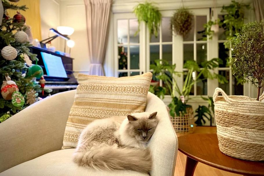 4291 W 9th Avenue Vancouver, BC - 34