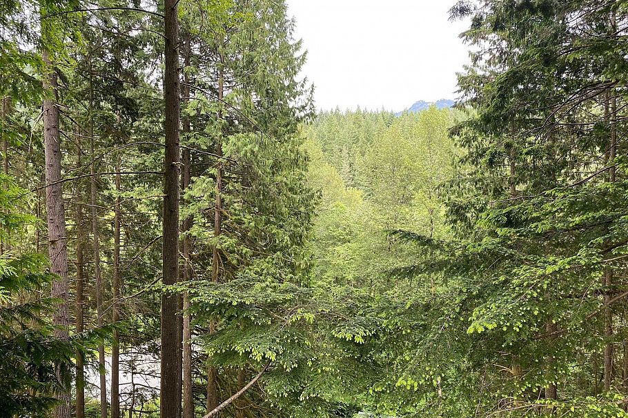 4728 Underwood Avenue North Vancouver, BC - 34