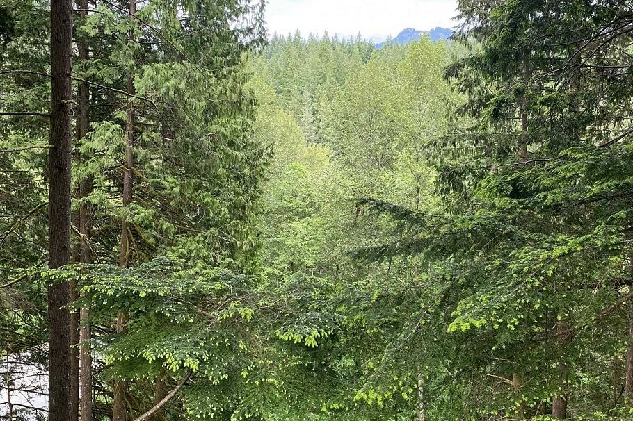 4728 Underwood Avenue North Vancouver, BC - 35