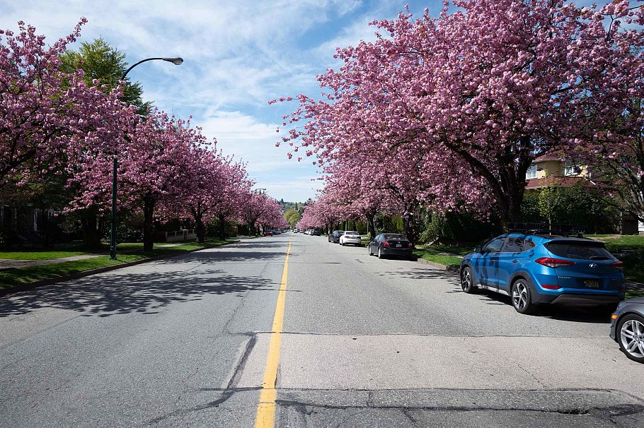 2356 West 16th Avenue Vancouver, BC - 2