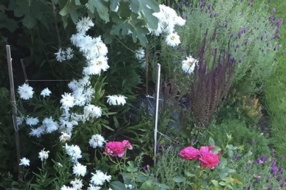 349 E 24th Street North Vancouver, BC - 34