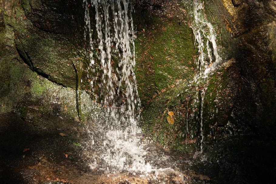 5439 Indian River Drive North Vancouver, BC - 9