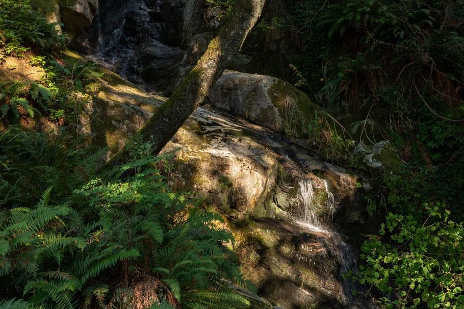 5439 Indian River Drive North Vancouver, BC - 8