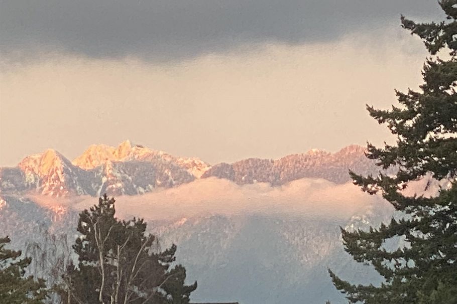 2820 W 32nd Avenue Vancouver, BC - 36