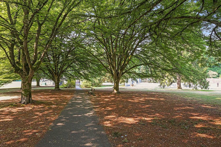 3553 W 31st Avenue Vancouver, BC - 39