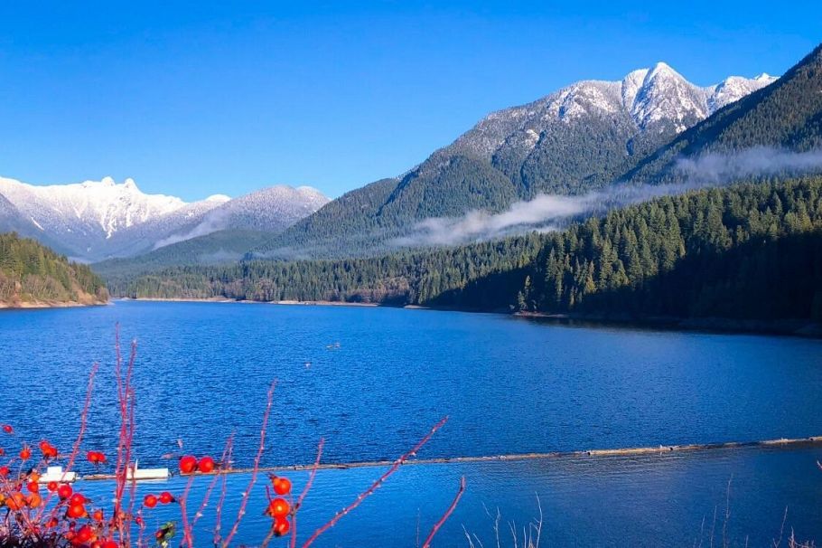 4262 Lions Avenue North Vancouver, BC - 39