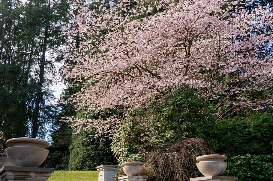 4778 Drummond Drive Vancouver, BC - 31