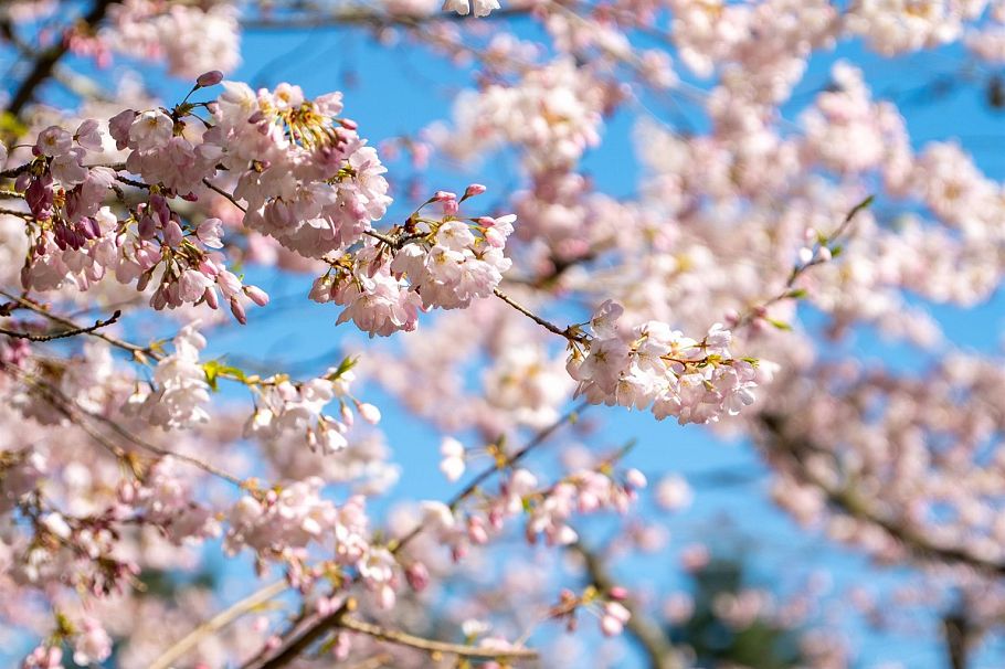 4778 Drummond Drive Vancouver, BC - 29