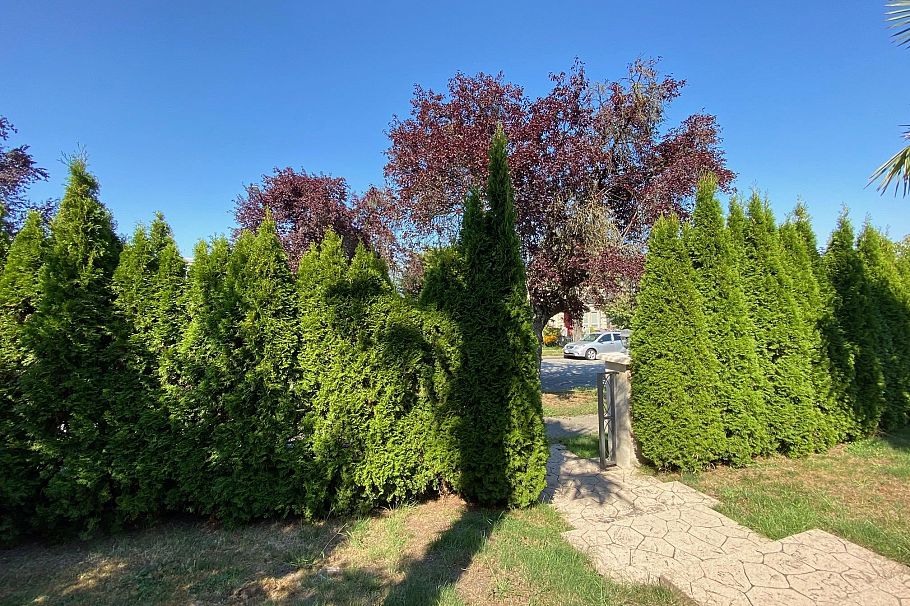 2938 W 23rd Avenue Vancouver, BC - 17