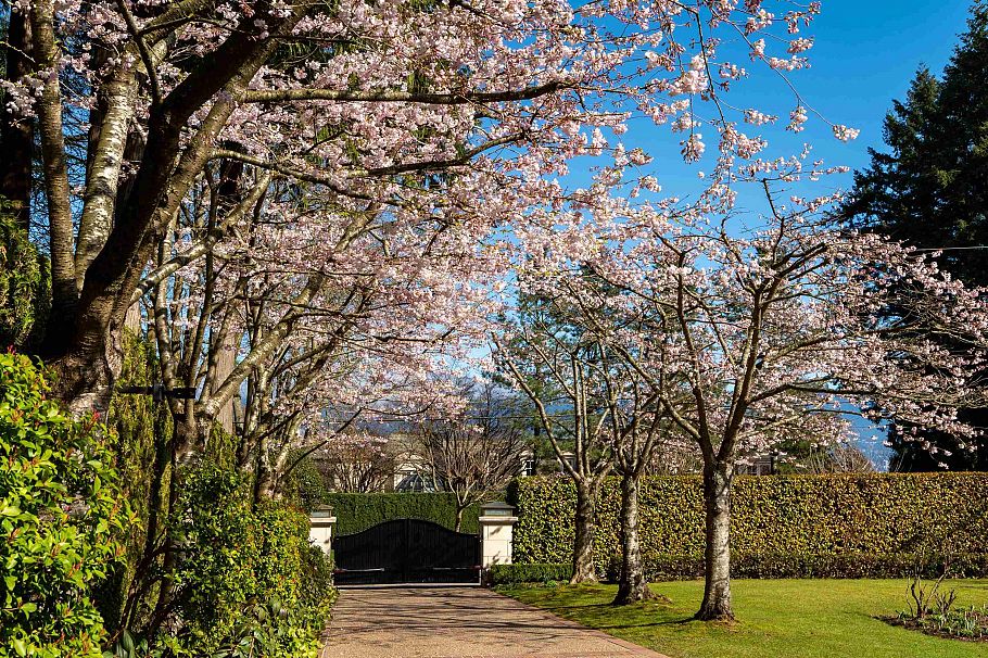 4778 Drummond Drive Vancouver, BC - 28