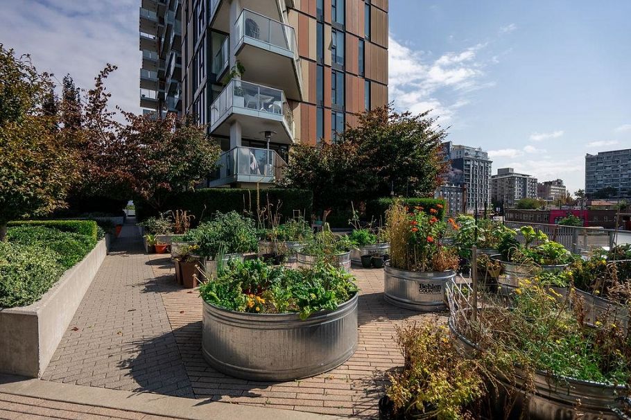 905 285 E 10th Avenue Vancouver, BC - 34