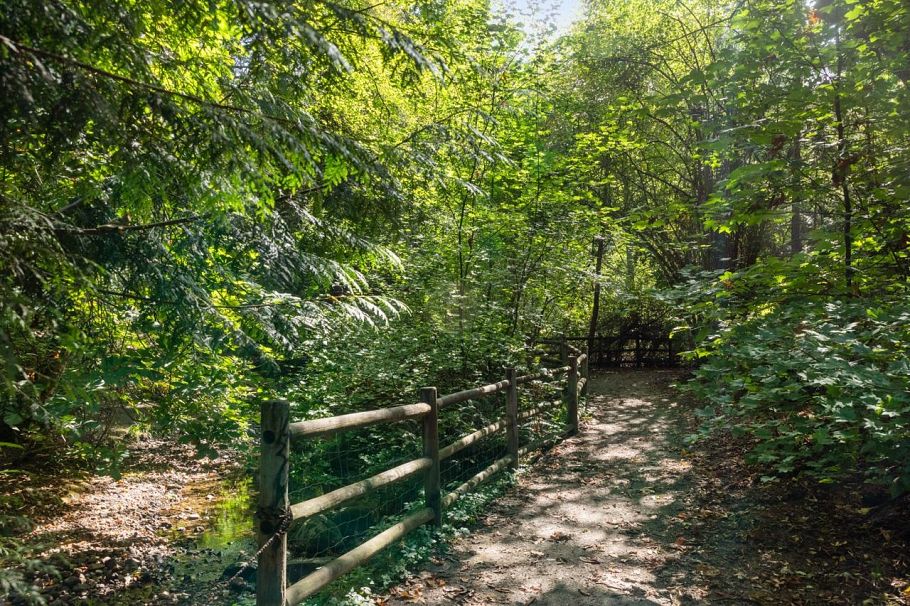 311 150 W 22nd Street North Vancouver, BC - 16