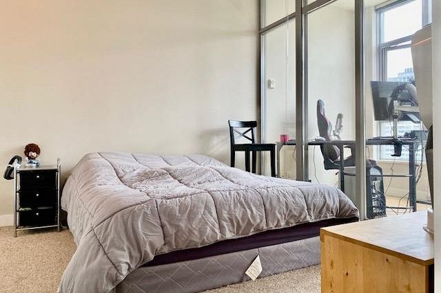 204 1050 Smithe Street Vancouver, BC - 9