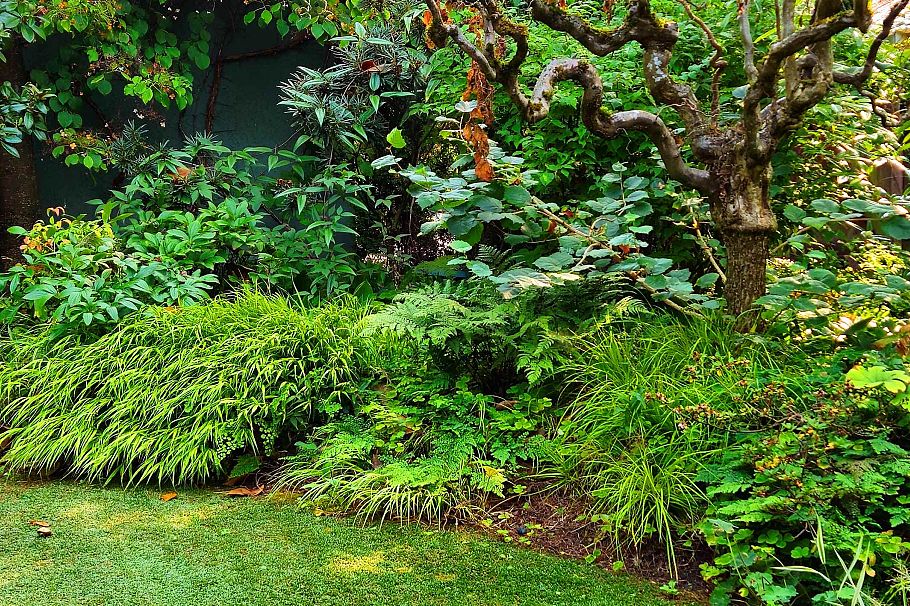 2214 W 14th Avenue Vancouver, BC - 23