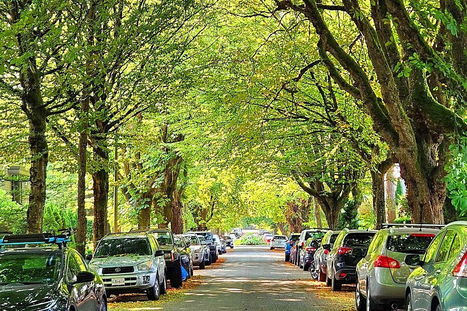 2214 W 14th Avenue Vancouver, BC - 29