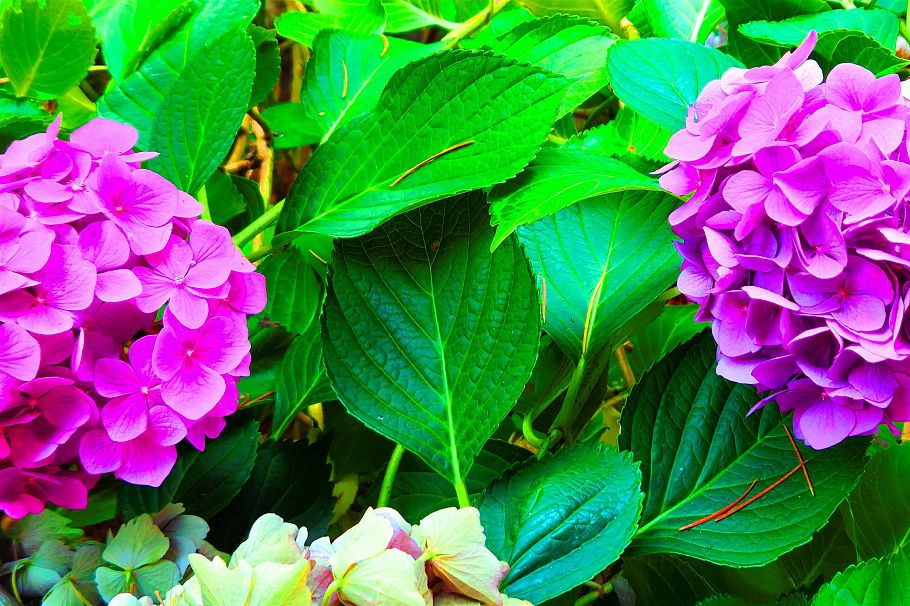 2214 W 14th Avenue Vancouver, BC - 21