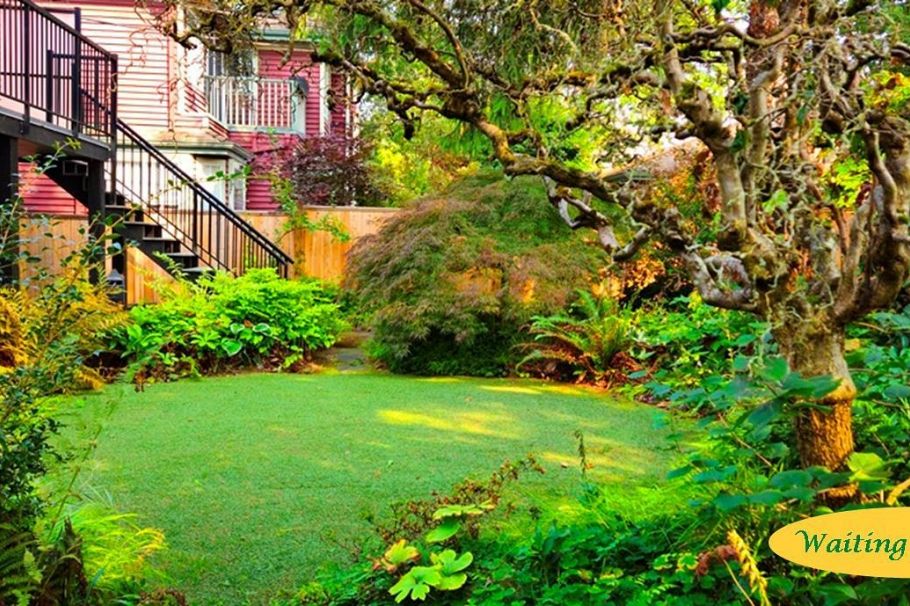 2214 W 14th Avenue Vancouver, BC - 3