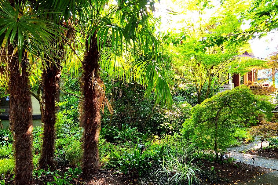 2214 W 14th Avenue Vancouver, BC - 27