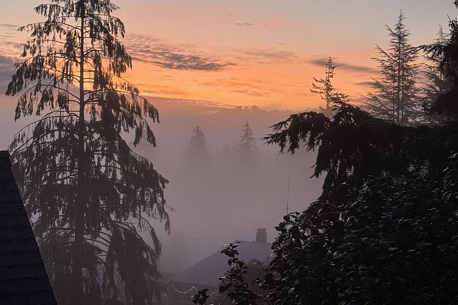 4164 Fairway Place North Vancouver, BC - 31