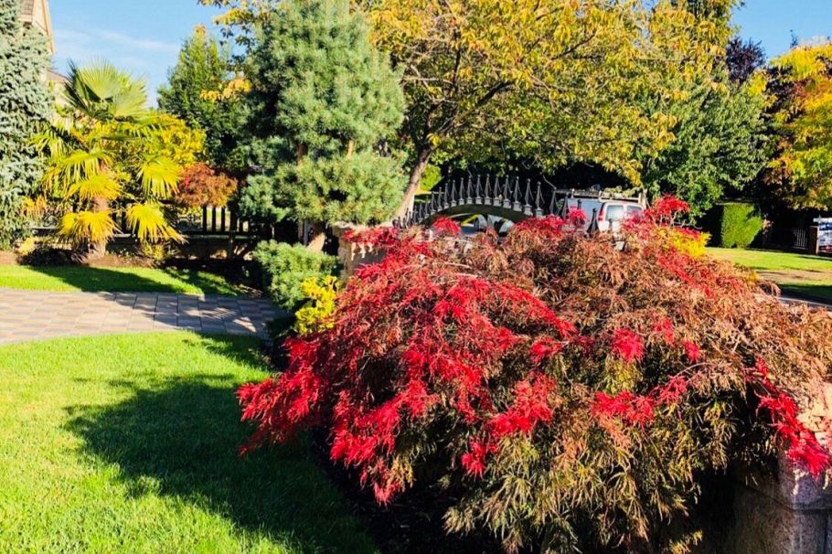 1291 W 50th Avenue Vancouver, BC - 7