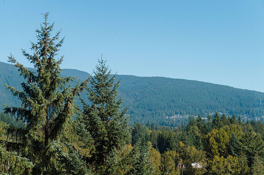 1404 2008 Fullerton Avenue North Vancouver, BC - 36