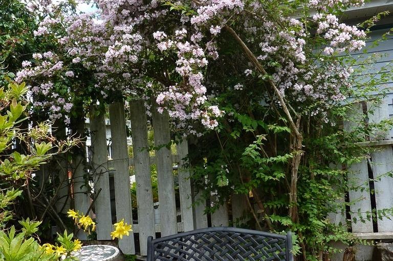 3726 W 33rd Avenue Vancouver, BC - 10