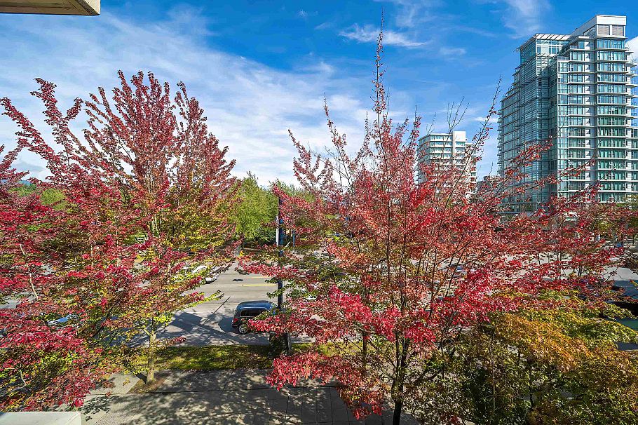 301 1863 Alberni Street Vancouver, BC - 9