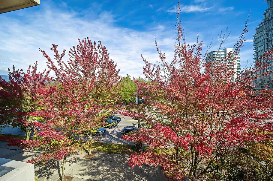 301 1863 Alberni Street Vancouver, BC - 8