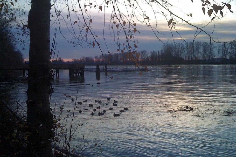 2162 SE Kent Avenue Vancouver, BC - 37