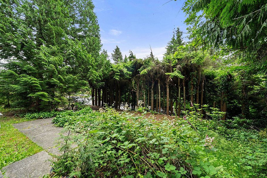 338 E Osborne Road North Vancouver, BC - 16
